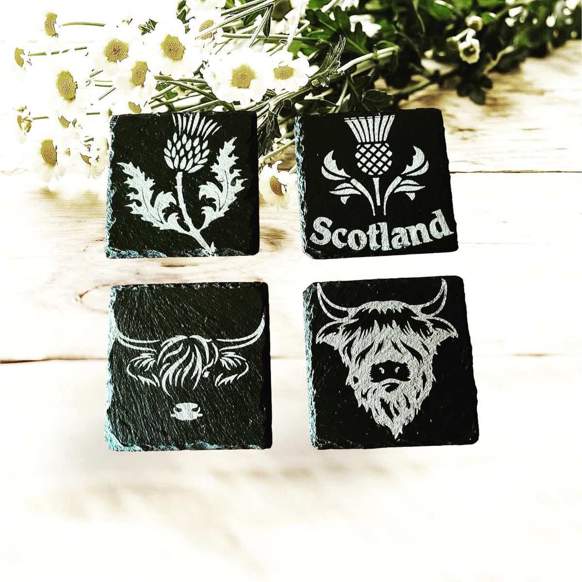 scottish coasters